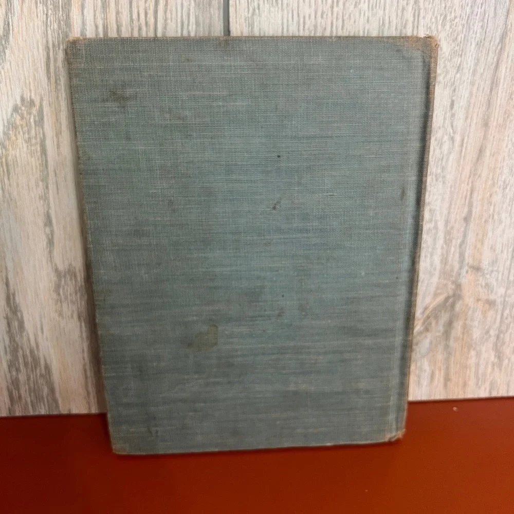 1919 New-World Speller Third Book Julia Helen Wohlfarth Antique School Textbook